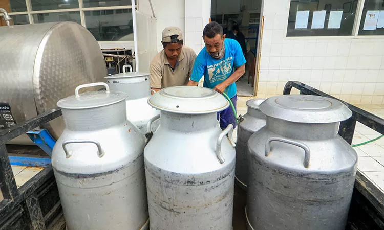 Koperasi Bakal Pasok 1,3 Juta Liter Susu buat Makan Bergizi Gratis